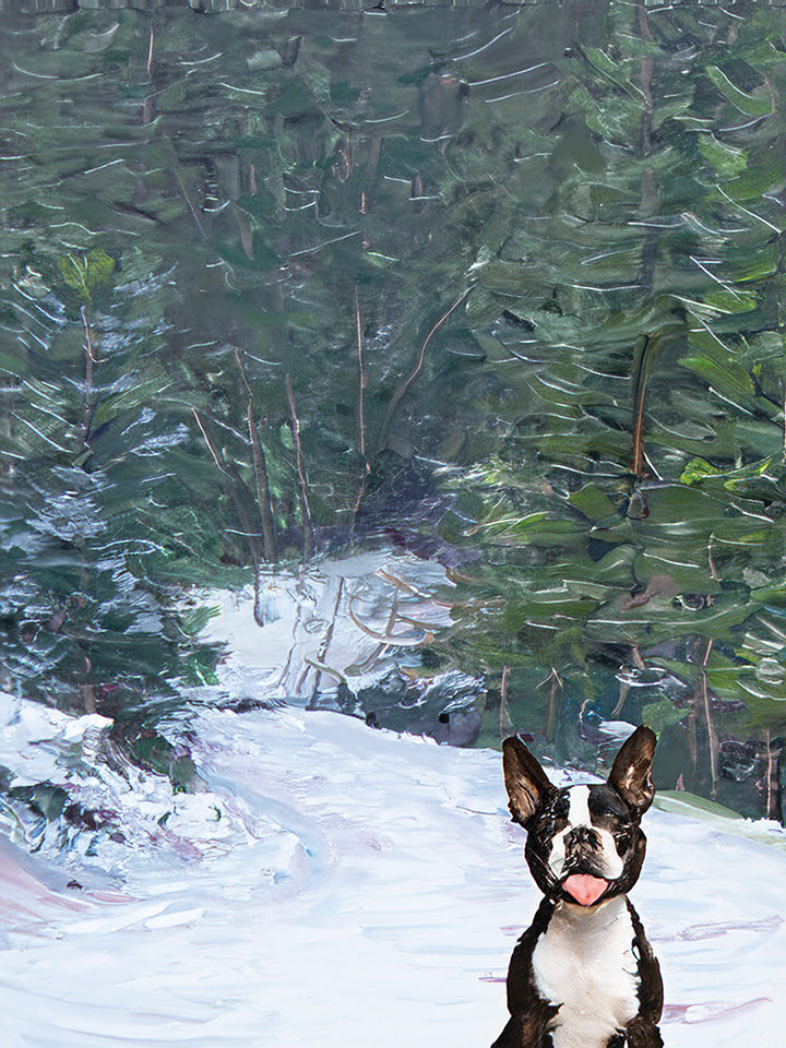 WINTER FOREST - CUSTOM PET PORTRAIT
